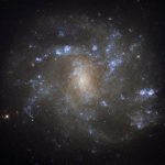 Спиральная галактика NGC 2500 глазами космического телескопа «Хаббл»